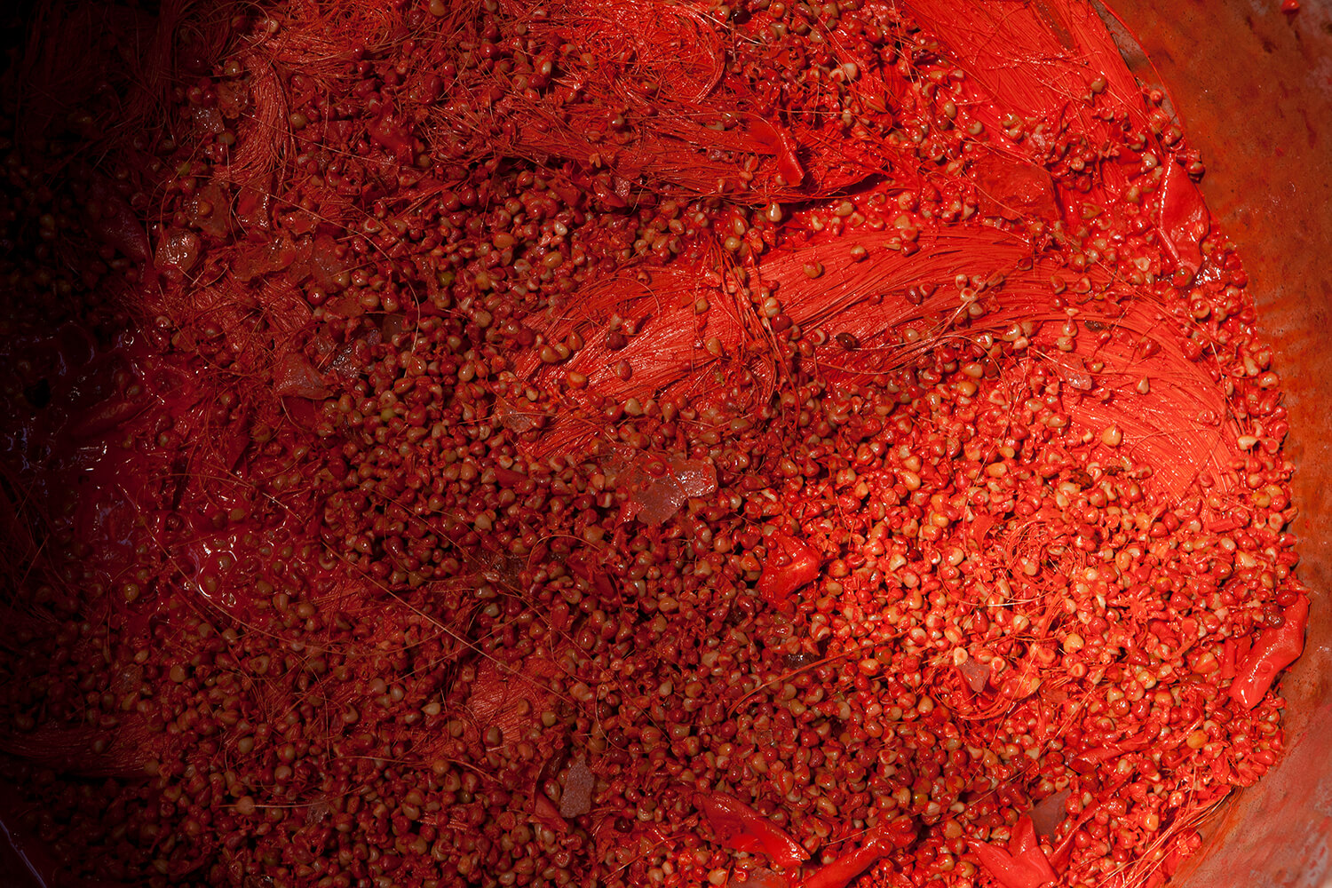 ACHIOTE 6_galeria_MG_6012.jpg
